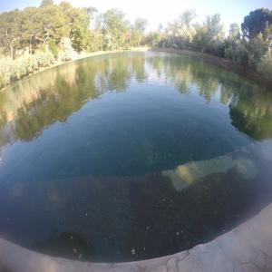 fotos lago termal termas pallarés